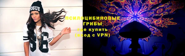 a pvp Алзамай