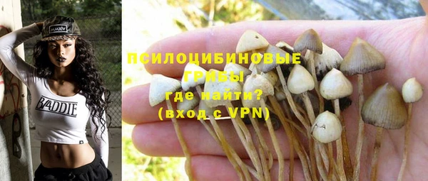 a pvp Алзамай
