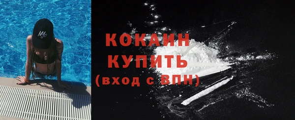 a pvp Алзамай