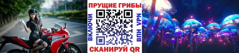 Псилоцибиновые грибы прущие грибы  Брянск 